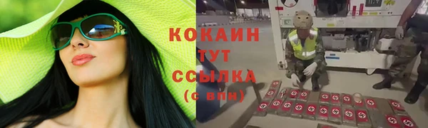 индика Покров