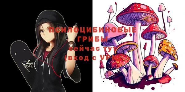 spice Галич