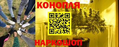 Альфа ПВП Донской