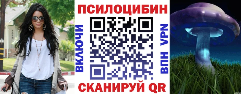 цена   Скопин  Галлюциногенные грибы Magic Shrooms 