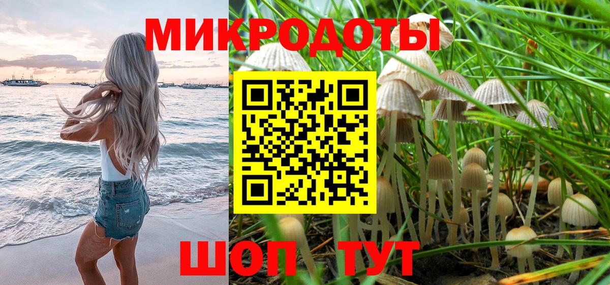 Скопин  Галлюциногенные грибы MAGIC MUSHROOMS  Вход с VPN 